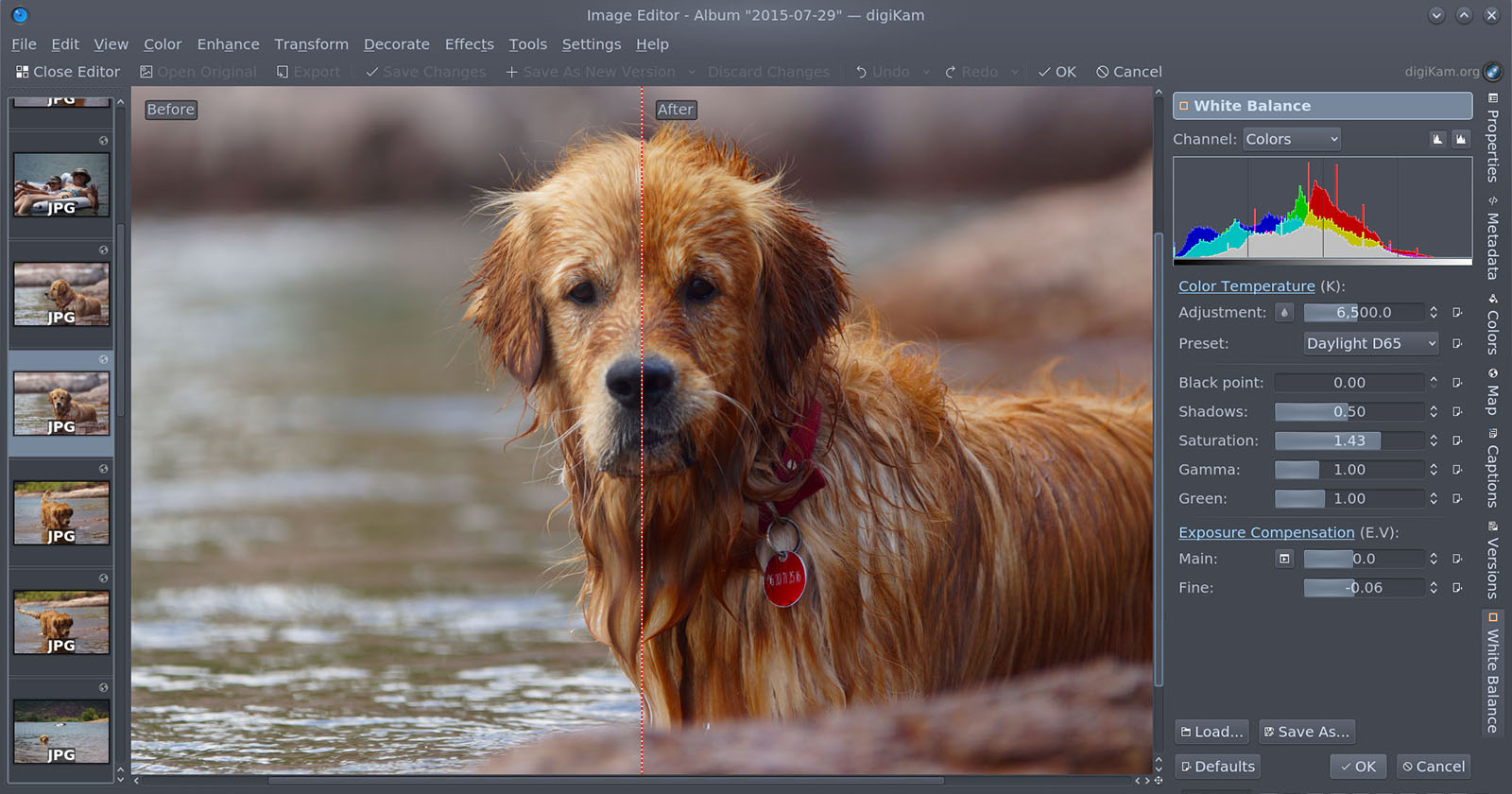 image editor screenshot digicam 图像编辑器截图digicam