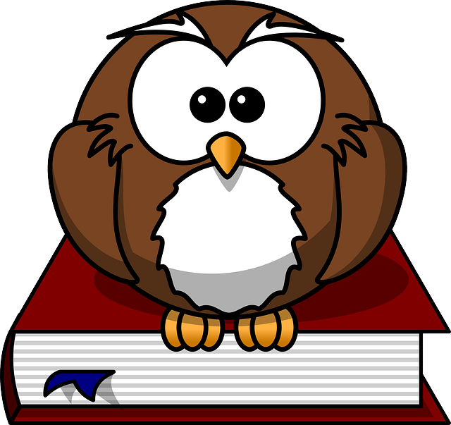 猫头鹰和书的动画片图象